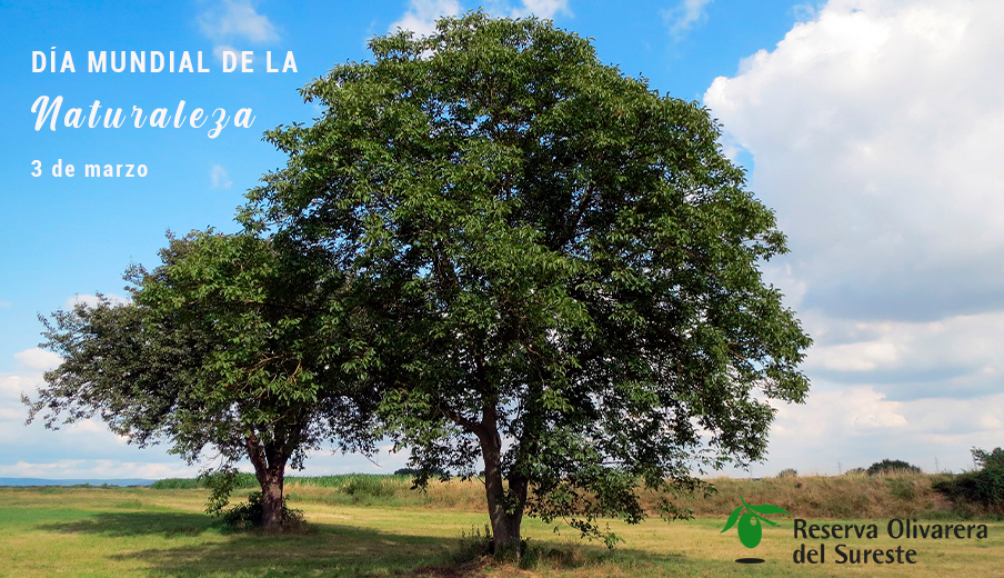 Reserva Olivarera celebra el Día Mundial de la Naturaleza